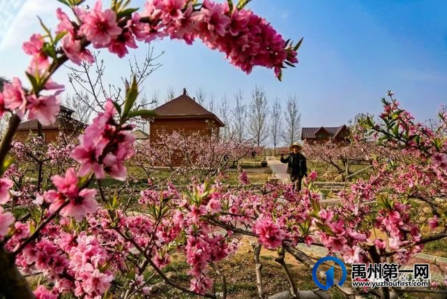 禹州:传播城市温度,打造文明之城(百图集) 禹州:传播城市温度,打造文明之城(百图集)