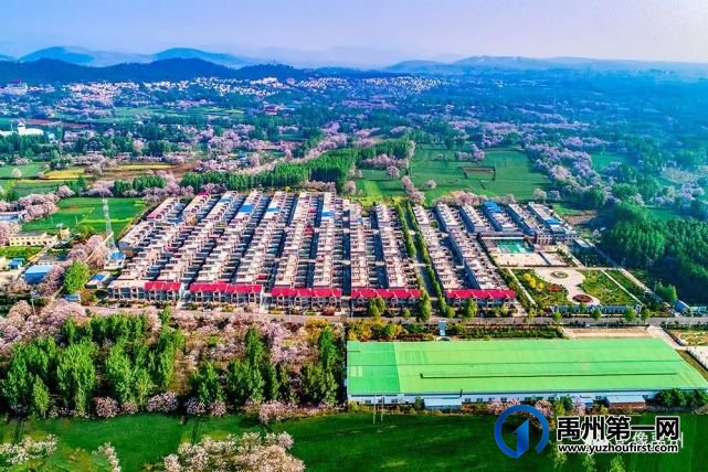 禹州:传播城市温度,打造文明之城(百图集) 禹州:传播城市温度,打造文明之城(百图集)