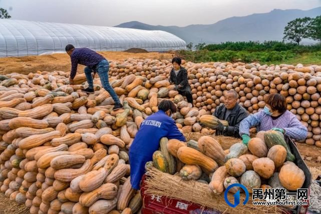 禹州:传播城市温度,打造文明之城(百图集) 禹州:传播城市温度,打造文明之城(百图集)