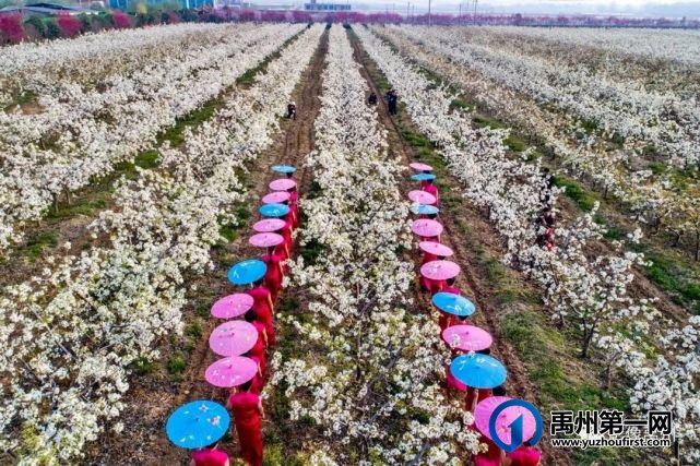 禹州:传播城市温度,打造文明之城(百图集) 禹州:传播城市温度,打造文明之城(百图集)