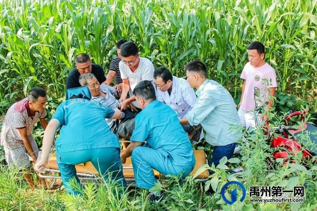 禹州:传播城市温度,打造文明之城(百图集) 禹州:传播城市温度,打造文明之城(百图集)