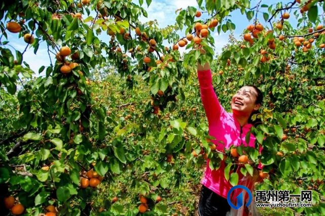 禹州:传播城市温度,打造文明之城(百图集) 禹州:传播城市温度,打造文明之城(百图集)