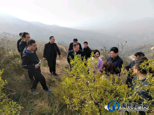 河南省具茨山岩画保护工作第二次联席会议在禹州召开! 河南省具茨山岩画保护工作第二次联席会议在禹州召开!