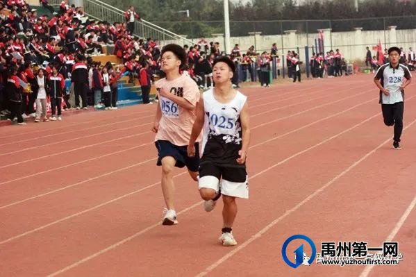 禹州市第一高级中学运动会集锦都在这里 禹州市第一高级中学运动会集锦都在这里