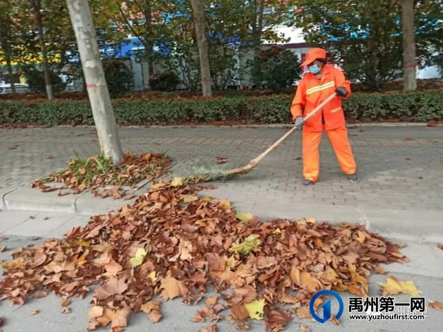 禹州环卫:落叶纷飞满地黄 环卫动手清理忙 禹州环卫:落叶纷飞满地黄 环卫动手清理忙