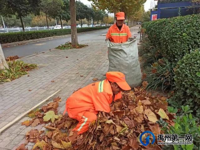 禹州环卫:落叶纷飞满地黄 环卫动手清理忙 禹州环卫:落叶纷飞满地黄 环卫动手清理忙