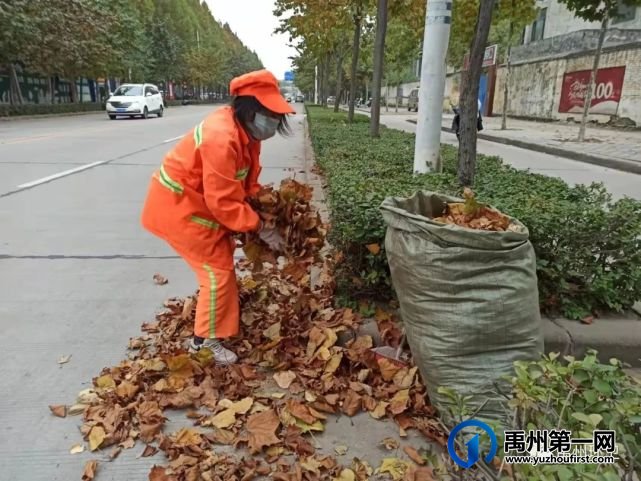 禹州环卫:落叶纷飞满地黄 环卫动手清理忙 禹州环卫:落叶纷飞满地黄 环卫动手清理忙