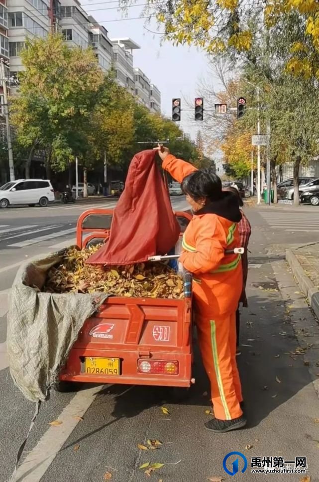 禹州环卫:落叶纷飞满地黄 环卫动手清理忙 禹州环卫:落叶纷飞满地黄 环卫动手清理忙