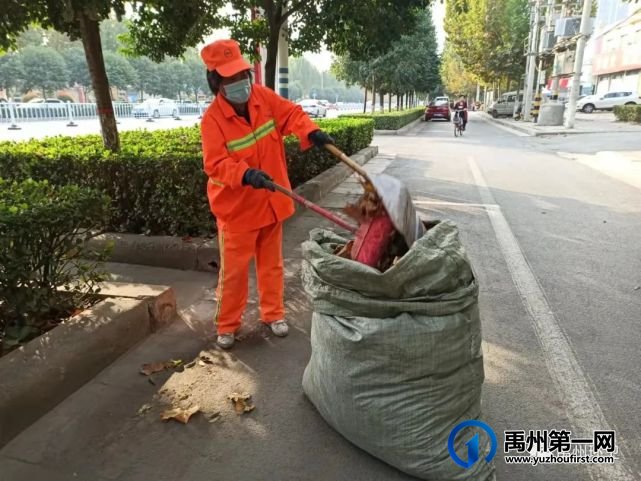 禹州环卫:落叶纷飞满地黄 环卫动手清理忙 禹州环卫:落叶纷飞满地黄 环卫动手清理忙