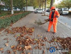 禹州环卫：落叶纷飞满地黄 环卫动手清理忙