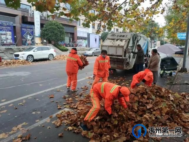 禹州环卫:一夜风雨叶飞满地 环卫工人忙清理 禹州环卫:一夜风雨叶飞满地 环卫工人忙清理