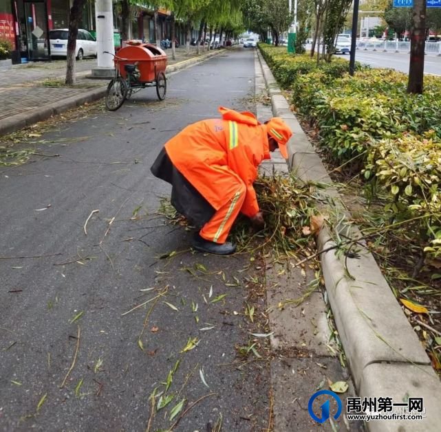 禹州环卫:一夜风雨叶飞满地 环卫工人忙清理 禹州环卫:一夜风雨叶飞满地 环卫工人忙清理