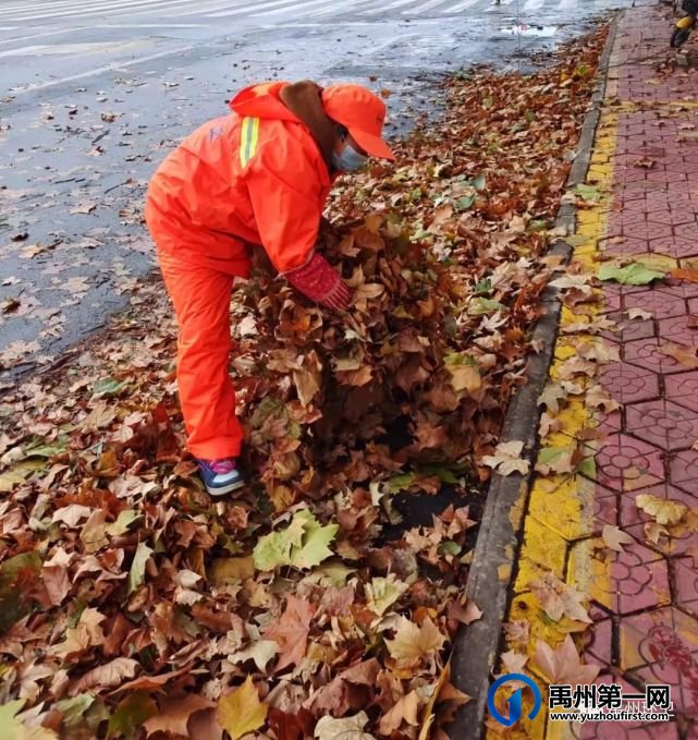 禹州环卫:一夜风雨叶飞满地 环卫工人忙清理 禹州环卫:一夜风雨叶飞满地 环卫工人忙清理