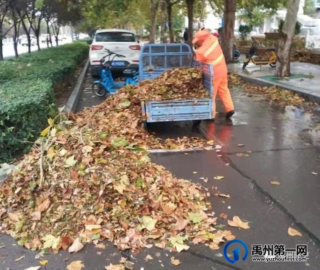 禹州环卫:一夜风雨叶飞满地 环卫工人忙清理 禹州环卫:一夜风雨叶飞满地 环卫工人忙清理