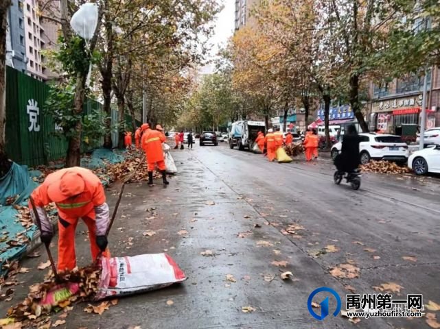 禹州环卫:一夜风雨叶飞满地 环卫工人忙清理 禹州环卫:一夜风雨叶飞满地 环卫工人忙清理