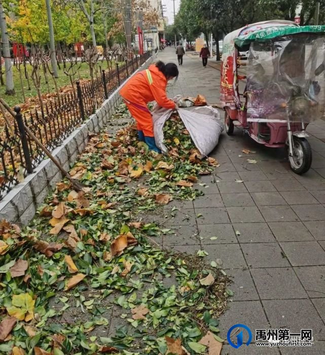 禹州环卫:一夜风雨叶飞满地 环卫工人忙清理 禹州环卫:一夜风雨叶飞满地 环卫工人忙清理