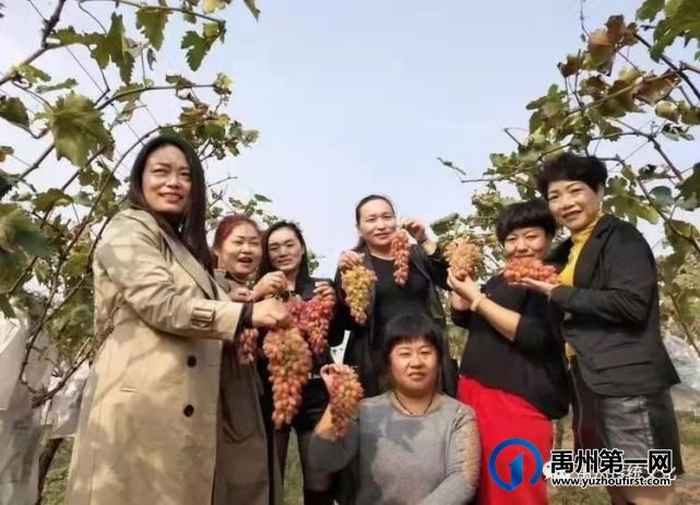 禹州传统文化||秋到苌庄(现代诗 禹州传统文化||秋到苌庄(现代诗