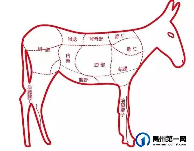 禹州名港驴肉村人均不到30的驴肉火锅! 禹州名港驴肉村人均不到30的驴肉火锅!