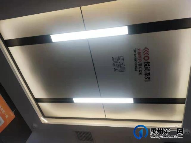 禹州法狮龙装饰材料