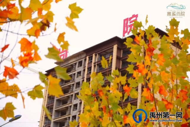 禹州林溪尚院:深秋初冬时,这样的美景近在咫尺... 禹州林溪尚院:深秋初冬时,这样的美景近在咫尺...
