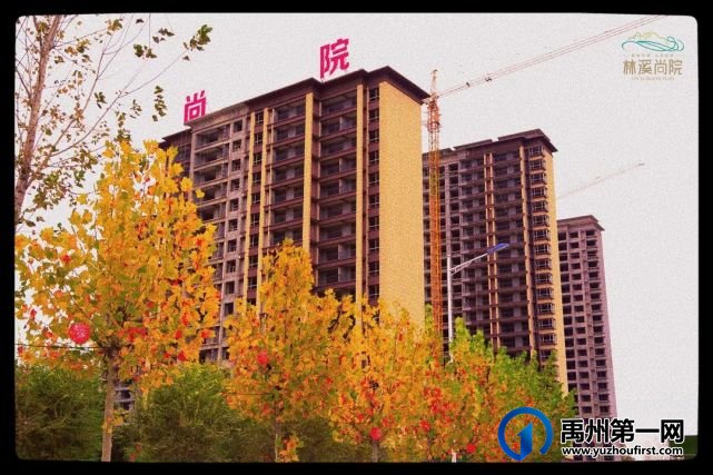 禹州林溪尚院:深秋初冬时,这样的美景近在咫尺... 禹州林溪尚院:深秋初冬时,这样的美景近在咫尺...
