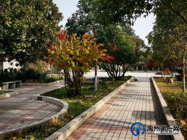 禹州方岗镇的硬队伍,离不开这“四颗心” 禹州方岗镇的硬队伍,离不开这“四颗心”