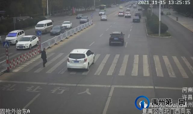 禹州曝光最新一批斑马线前不礼让行人 禹州曝光最新一批斑马线前不礼让行人