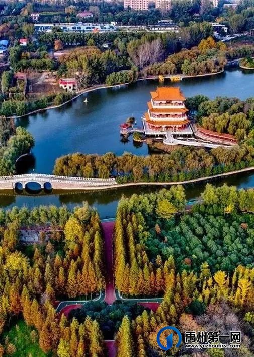 11月27日,禹州润泓钧樾府25#楼臻席加推! 11月27日,禹州润泓钧樾府25#楼臻席加推!