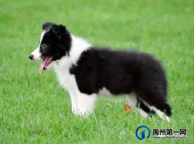禹州市公安局派出所里发生的这些事,看后你作何感想? 禹州市公安局派出所里发生的这些事,看后你作何感想?