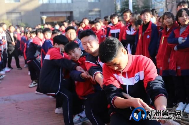 禹州一高凝心聚力 顽强拼搏 | 高一年级举行拔河比赛 禹州一高凝心聚力 顽强拼搏 | 高一年级举行拔河比赛