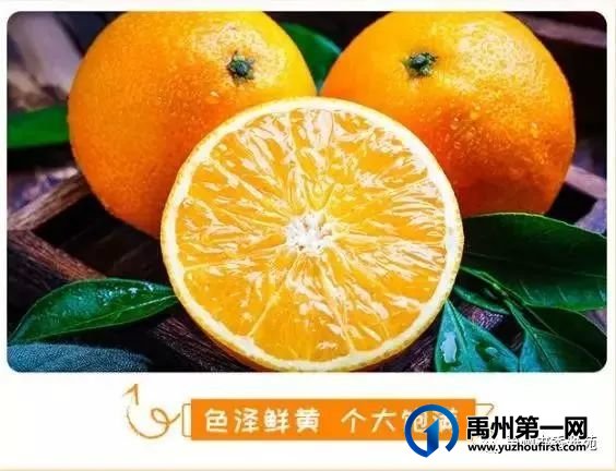 禹州书香雅苑送橙子活动暖心来袭! 禹州书香雅苑送橙子活动暖心来袭!