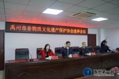 禹州市召开非物质文化遗产保护协会选举会议
