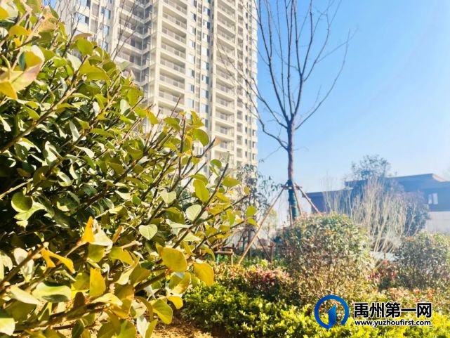 禹州海盛湖滨豪庭双十二品质日,预鉴美好家! 禹州海盛湖滨豪庭双十二品质日,预鉴美好家!