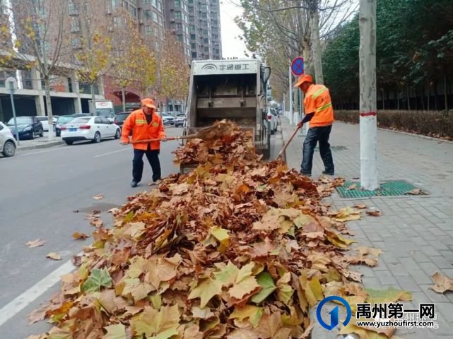 禹州环卫:开展环境集中整治 扮靓人居生活环境 禹州环卫:开展环境集中整治 扮靓人居生活环境