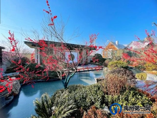 禹州信友天樾|城芯“C位”临河观景房热度爆表!像这样的房子余量不多了…… 禹州信友天樾|城芯“C位”临河观景房热度爆表!像这样的房子余量不多了……