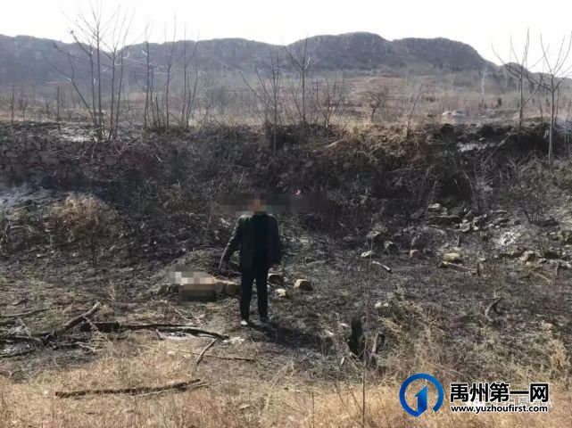 禹州多人因上坟引发火灾被拘! 禹州多人因上坟引发火灾被拘!