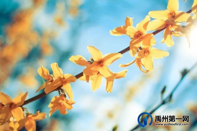 禹州大美董湾龙悦府3月工程播报请查收! 禹州大美董湾龙悦府3月工程播报请查收!