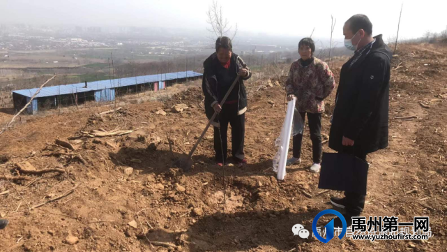 禹州市全力做好采伐迹地更新造林工作 禹州市全力做好采伐迹地更新造林工作