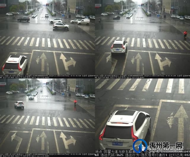 禹州交警曝光一批违章车辆 禹州交警曝光一批违章车辆
