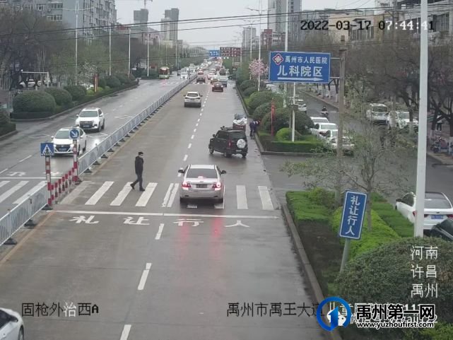 禹州交警曝光一批违章车辆 禹州交警曝光一批违章车辆
