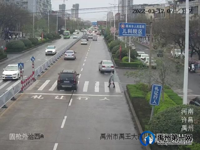 禹州交警曝光一批违章车辆 禹州交警曝光一批违章车辆