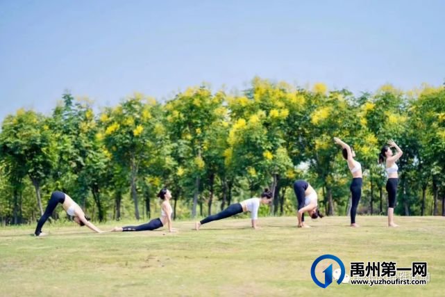 禹州市静雅瑜伽4月女神季丨来静雅瑜伽拍一组专属写真,然后惊艳所有人 禹州市静雅瑜伽4月女神季丨来静雅瑜伽拍一组专属写真,然后惊艳所有人
