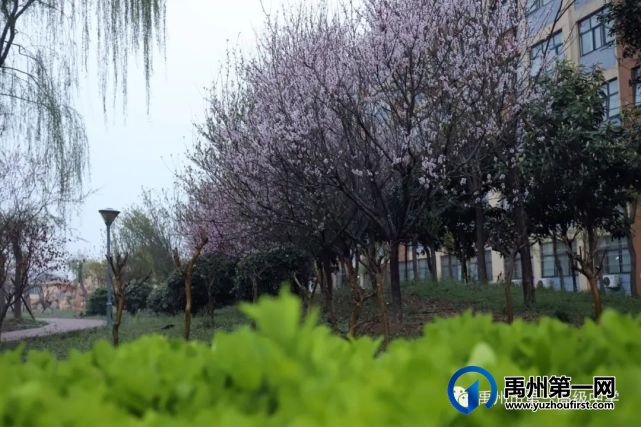 禹州一高 | 口罩一戴,做个小可爱! 禹州一高 | 口罩一戴,做个小可爱!