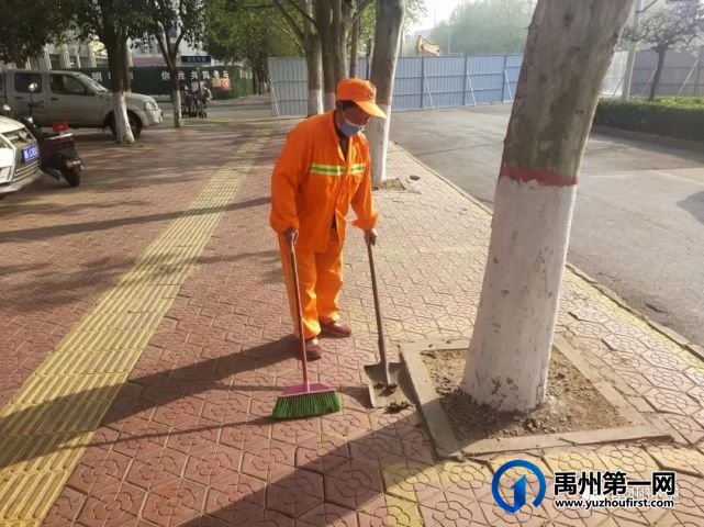 禹州环卫:宠物粪便惹人烦 环卫工人清理忙 禹州环卫:宠物粪便惹人烦 环卫工人清理忙