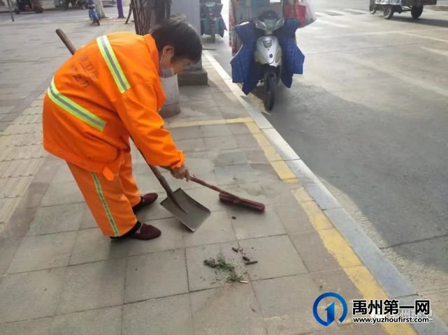 禹州环卫:宠物粪便惹人烦 环卫工人清理忙 禹州环卫:宠物粪便惹人烦 环卫工人清理忙