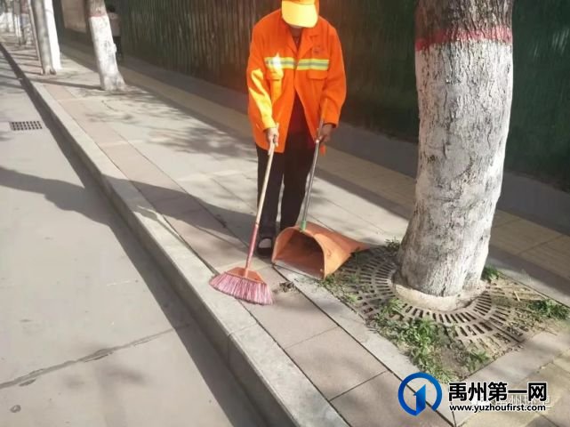 禹州环卫:宠物粪便惹人烦 环卫工人清理忙 禹州环卫:宠物粪便惹人烦 环卫工人清理忙