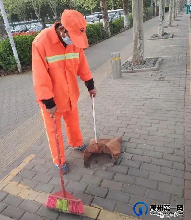 禹州环卫:宠物粪便惹人烦 环卫工人清理忙 禹州环卫:宠物粪便惹人烦 环卫工人清理忙