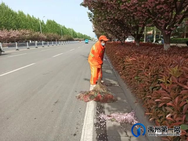 禹州环卫:开展爱国卫生运动 改善人居生活环境 禹州环卫:开展爱国卫生运动 改善人居生活环境