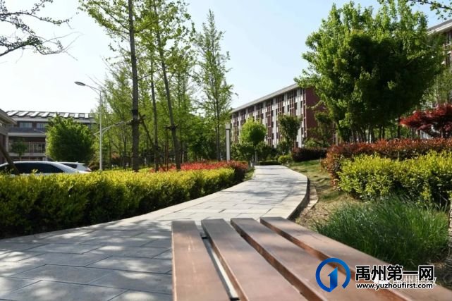 禹州中专再获省级卫生先进单位荣誉称号 禹州中专再获省级卫生先进单位荣誉称号