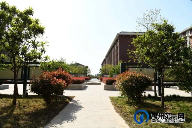 禹州中专再获省级卫生先进单位荣誉称号 禹州中专再获省级卫生先进单位荣誉称号